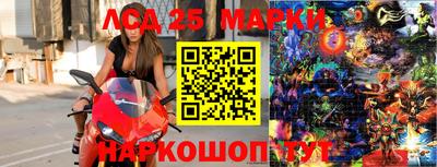 стафф Новокубанск