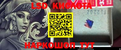 стафф Новокубанск