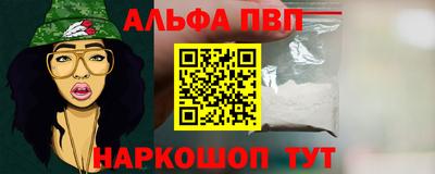 стафф Новокубанск