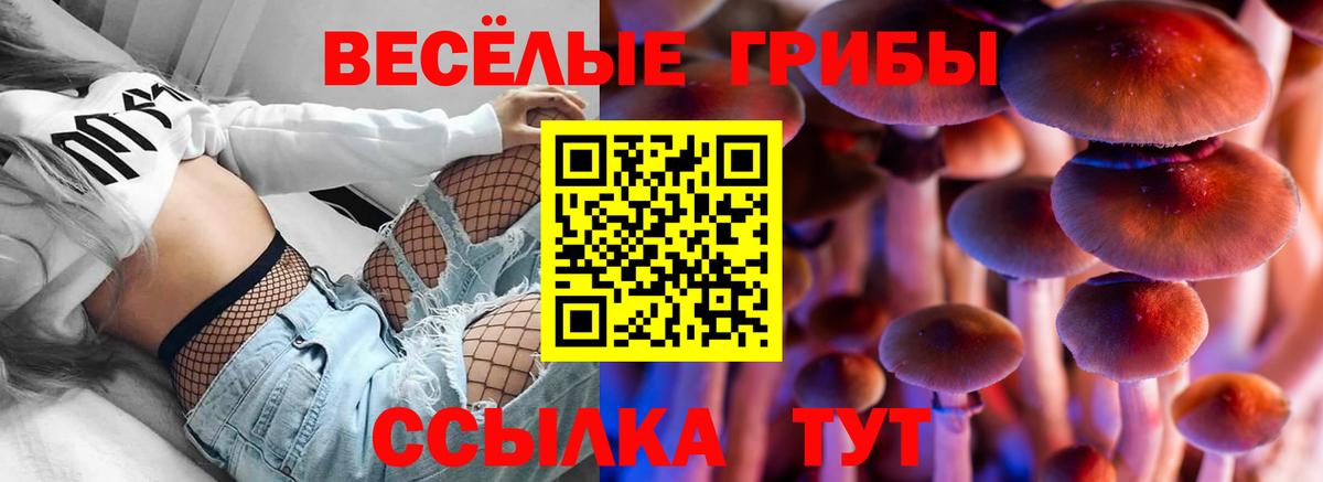 Псилоцибиновые грибы мицелий  Псилоцибиновые грибы мухоморы  наркошоп  Серов  Вход с VPN 