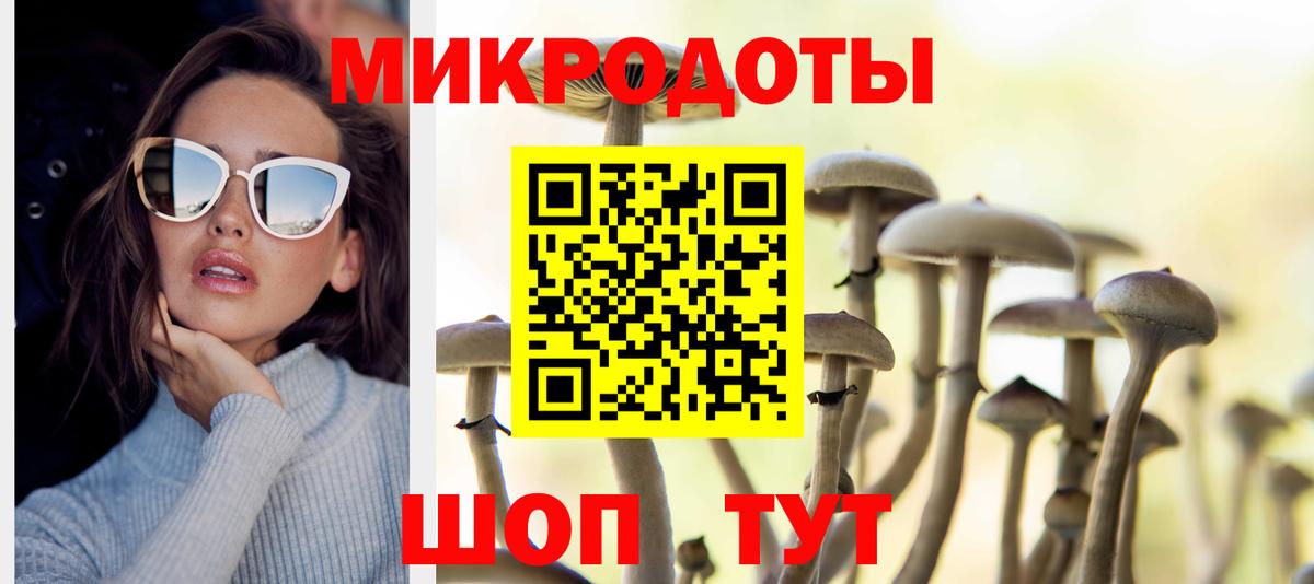 Псилоцибиновые грибы мицелий Серов